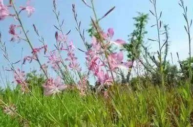 满怀憧“景”，小编带你游江南@2023小萌新