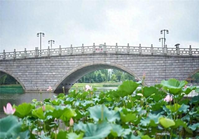 满怀憧“景”，小编带你游江南@2023小萌新