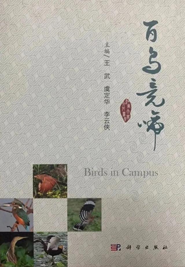 满怀憧“景”，小编带你游江南@2023小萌新