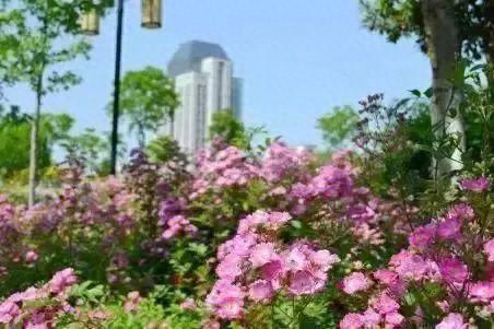 满怀憧“景”，小编带你游江南@2023小萌新