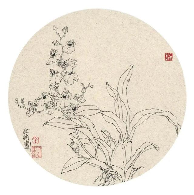 走进她的花鸟画世界，感受岁月浸润的细腻与温暖