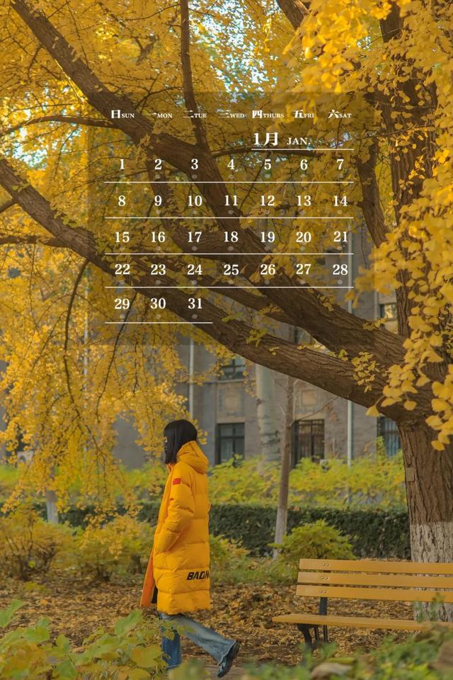 师大月历丨一月，阳光满路，寻梦而行