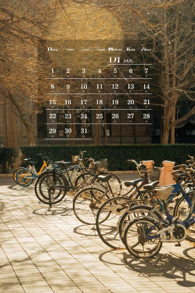 师大月历丨一月，阳光满路，寻梦而行