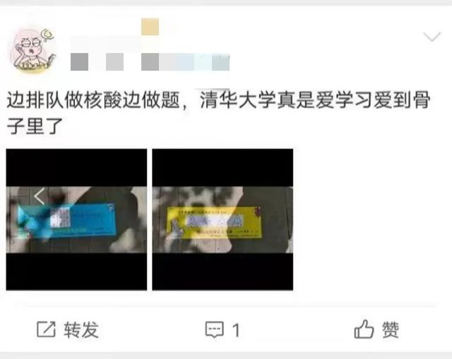 哇哦！两米线上“长出”可爱猫猫