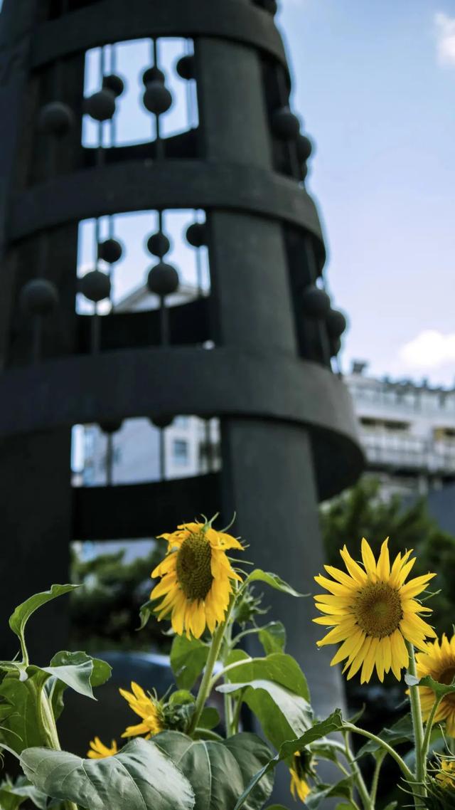 晚安故事 | 愿你的生活常温暖 日子温柔又闪光