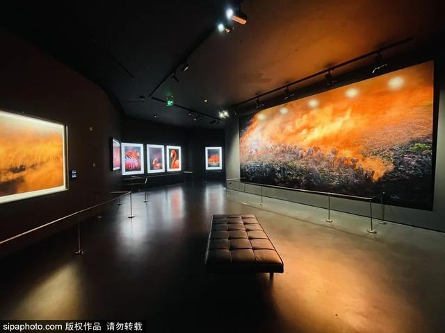 京郊过大年 | 来顺义，解锁年味儿密码