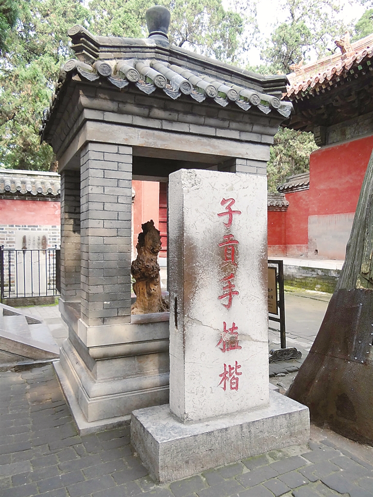 历史文化丨