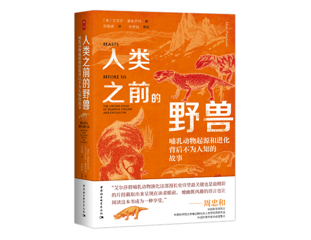 清明｜万物生长此时，去踏青吧