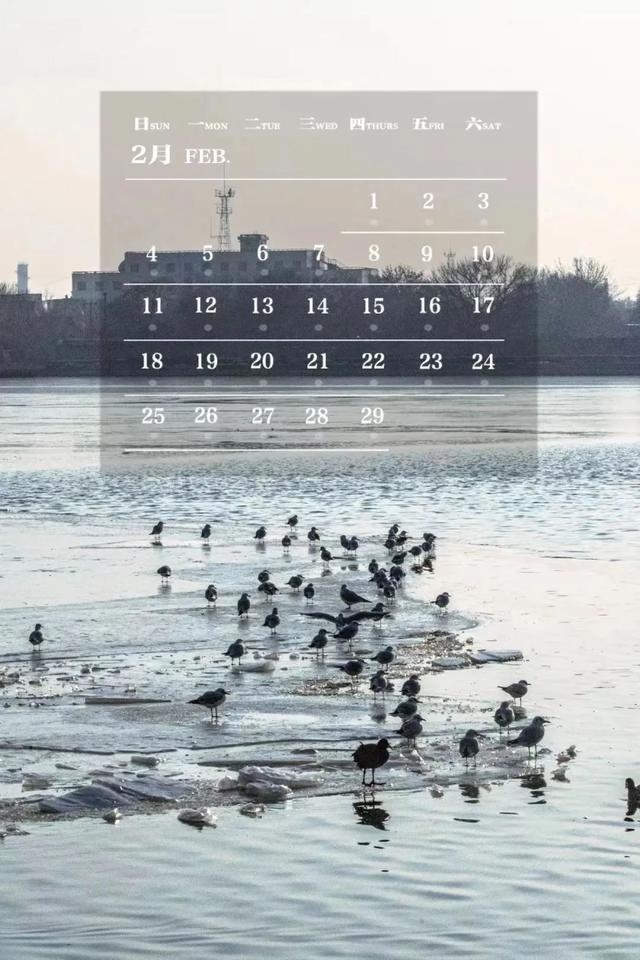 师大月历丨二月，每一处的风景都有别样的感动