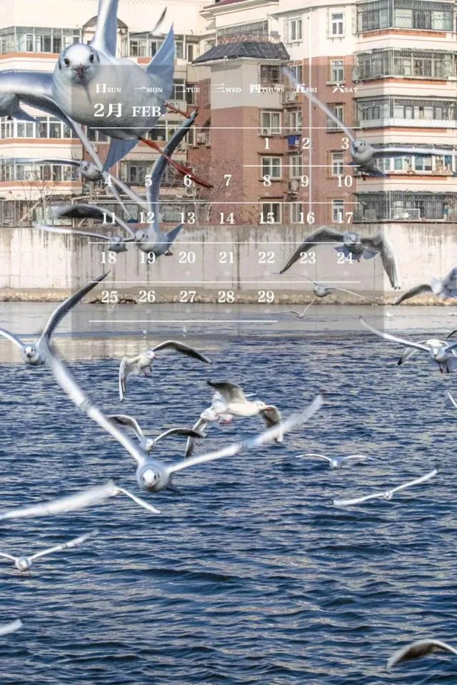 师大月历丨二月，每一处的风景都有别样的感动