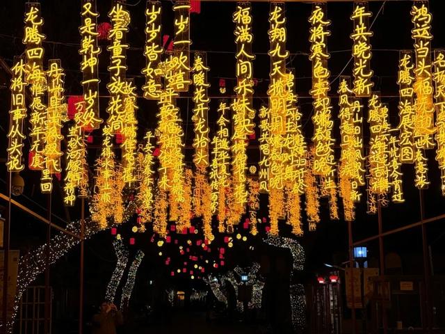 除夕 | 赏璀璨光影，迎龙年新春