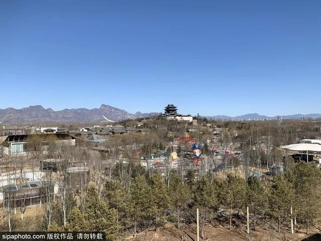文化过大年｜假期最后一天，打卡公园里的宝藏书店