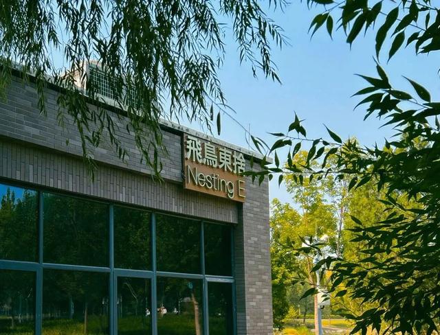 文化过大年｜假期最后一天，打卡公园里的宝藏书店