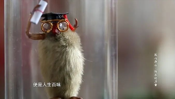 文化瑰宝 房山非遗|北京毛猴:半寸猢狲道百事
