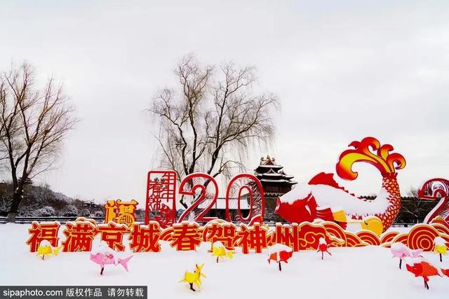 瑞雪兆丰年，当京城遇上龙年初雪，美如画卷