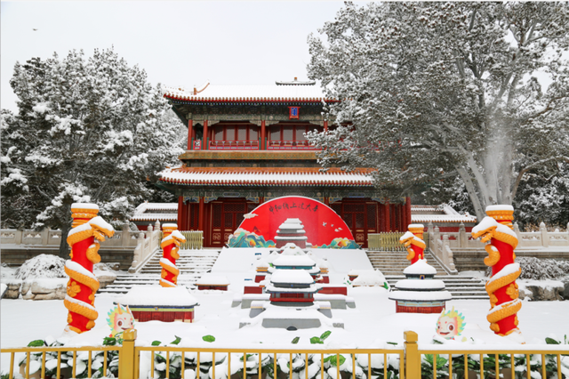瑞雪兆丰年，当京城遇上龙年初雪，美如画卷