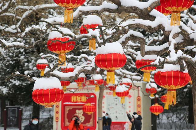 瑞雪兆丰年，当京城遇上龙年初雪，美如画卷