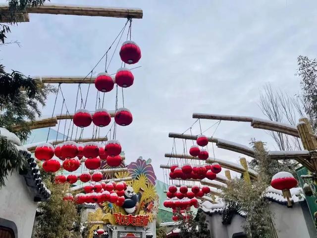 瑞雪兆丰年，当京城遇上龙年初雪，美如画卷
