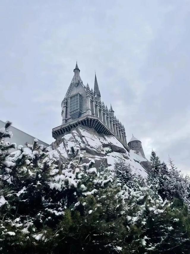 瑞雪兆丰年，当京城遇上龙年初雪，美如画卷