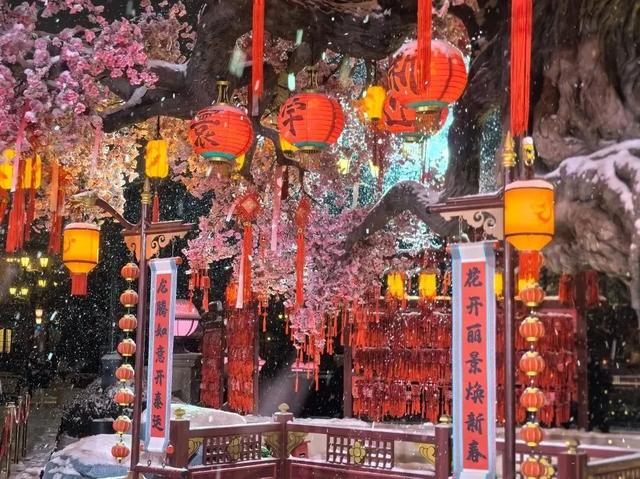 瑞雪兆丰年，当京城遇上龙年初雪，美如画卷