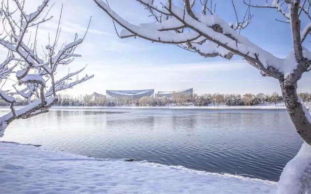 瑞雪兆丰年，当京城遇上龙年初雪，美如画卷
