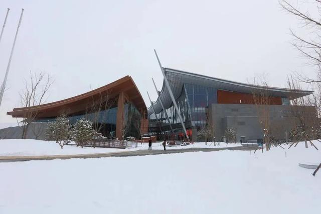 瑞雪兆丰年，当京城遇上龙年初雪，美如画卷
