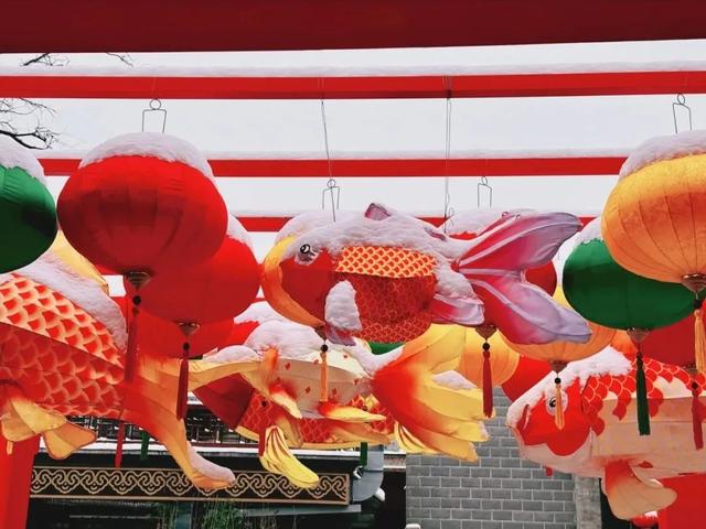 瑞雪兆丰年，当京城遇上龙年初雪，美如画卷