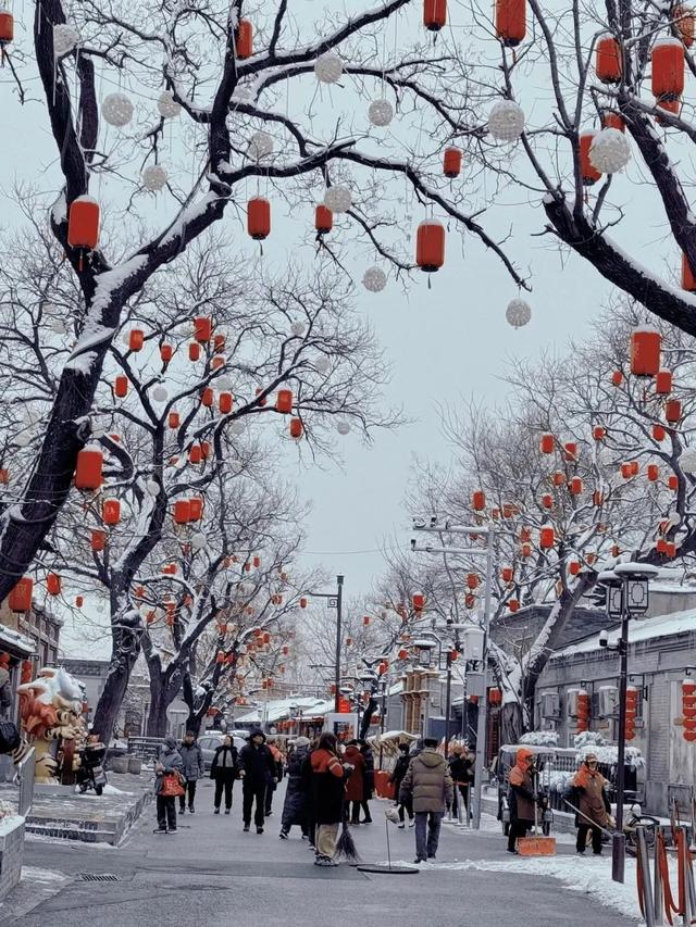 瑞雪兆丰年，当京城遇上龙年初雪，美如画卷