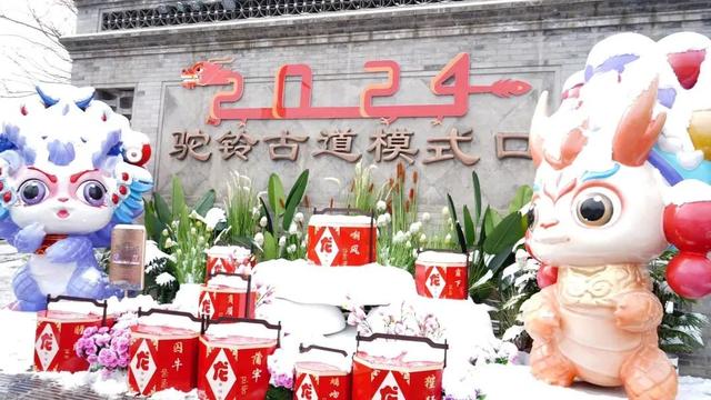 瑞雪兆丰年，当京城遇上龙年初雪，美如画卷