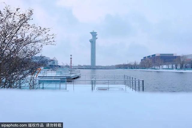 瑞雪兆丰年，当京城遇上龙年初雪，美如画卷