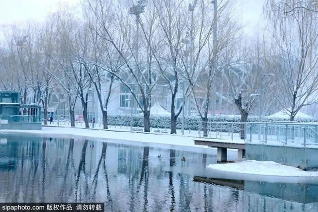 瑞雪兆丰年，当京城遇上龙年初雪，美如画卷