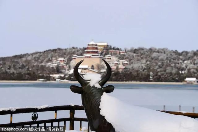 瑞雪兆丰年，当京城遇上龙年初雪，美如画卷