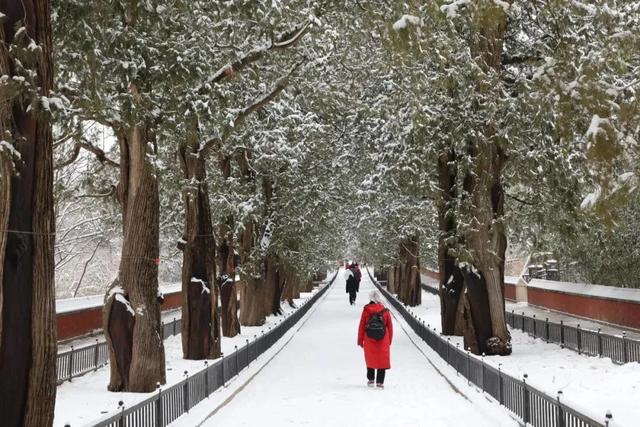 瑞雪兆丰年，当京城遇上龙年初雪，美如画卷