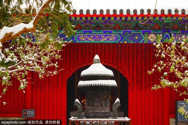 瑞雪兆丰年，当京城遇上龙年初雪，美如画卷
