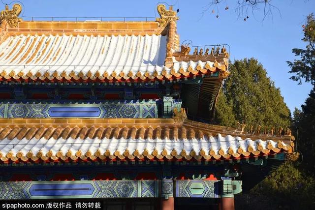 瑞雪兆丰年，当京城遇上龙年初雪，美如画卷