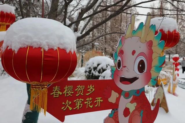 瑞雪兆丰年，当京城遇上龙年初雪，美如画卷