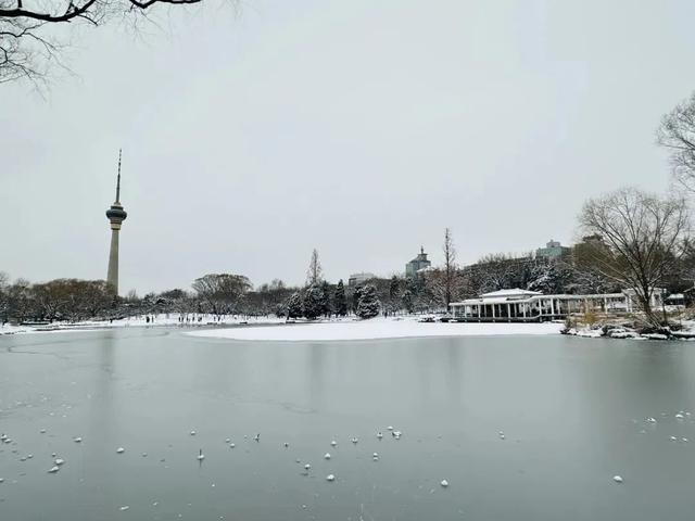 瑞雪兆丰年，当京城遇上龙年初雪，美如画卷
