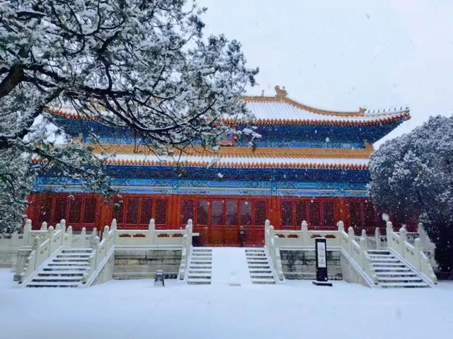 瑞雪兆丰年，当京城遇上龙年初雪，美如画卷