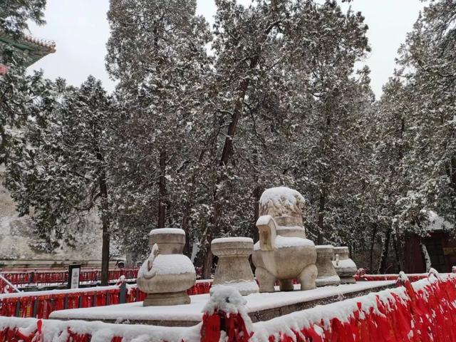 瑞雪兆丰年，当京城遇上龙年初雪，美如画卷