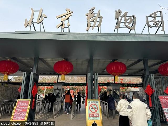 新学期带娃去这些地方，享受亲子时光