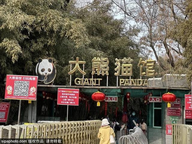 新学期带娃去这些地方，享受亲子时光