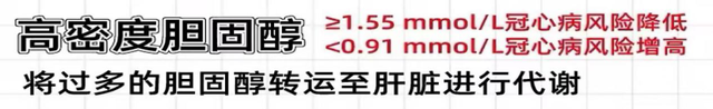 【汤医科普】血液中的“好”胆固醇与“坏”胆固醇