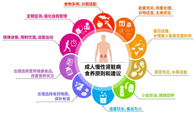 【汤医科普】世界肾脏日|慢性肾脏病如何食养？