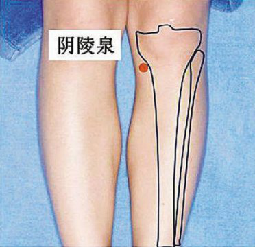【汤医科普】且行且珍“膝”，艾灸来助力