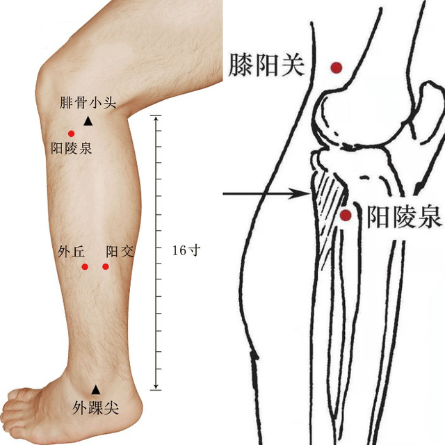 【汤医科普】且行且珍“膝”，艾灸来助力