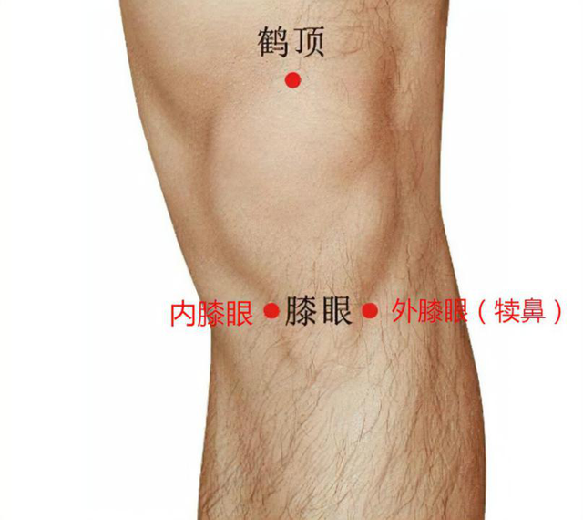 【汤医科普】且行且珍“膝”，艾灸来助力
