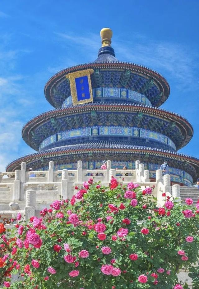 即将盛开！接下来的北京，比想象中还要美！