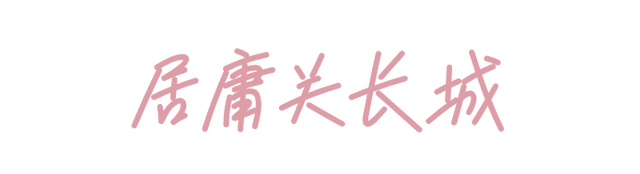 周末去哪 | “赏花专列”“最美公路”，驶入春日花海，你pick哪种？