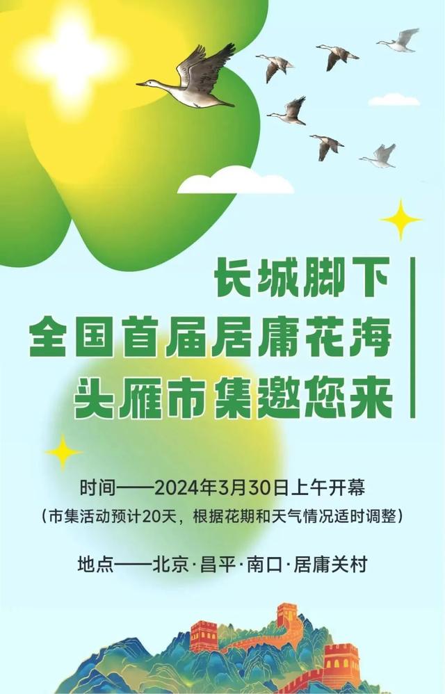 周末去哪 | “赏花专列”“最美公路”，驶入春日花海，你pick哪种？