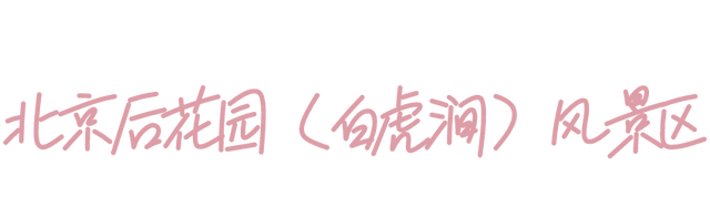 周末去哪 | “赏花专列”“最美公路”，驶入春日花海，你pick哪种？